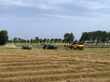 Landwirtschaft Ostfriesland
