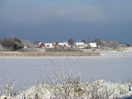 Winterliche Landschaft in Holtgast