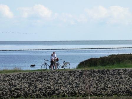 Radfahren an der Nordseeküste